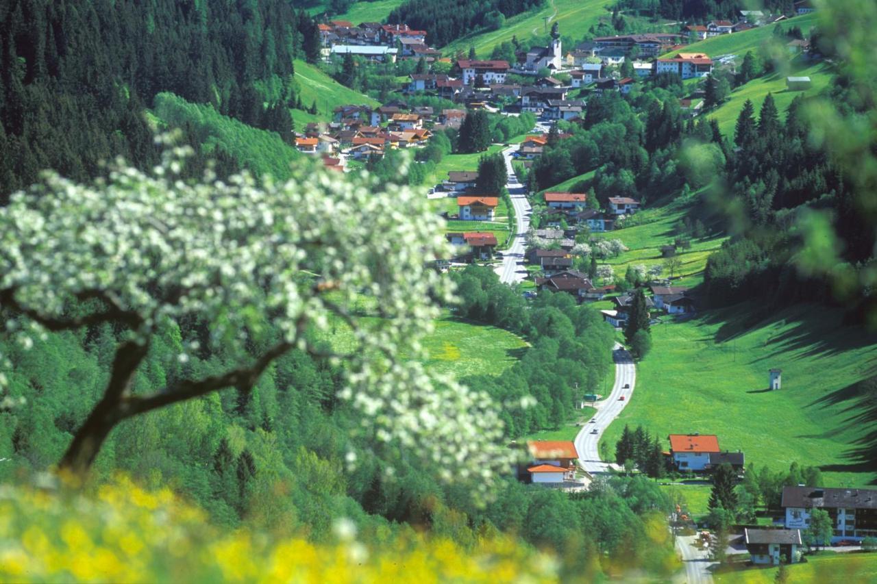 فندق Haus Am Wildbach اوفاش المظهر الخارجي الصورة